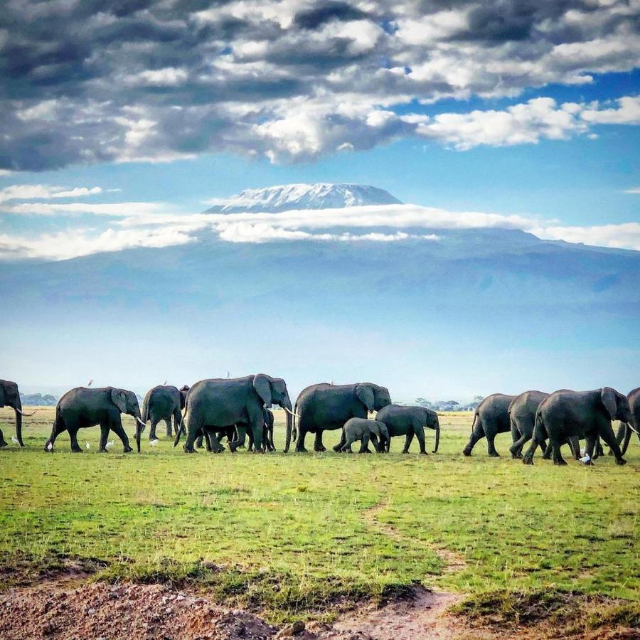 Amboseli Cultural Camping Экстерьер фото